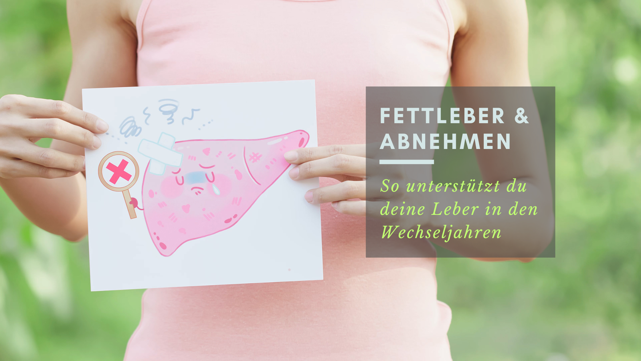 Fettleber & Abnehmen: So unterstützt du deine Leber in den Wechseljahren