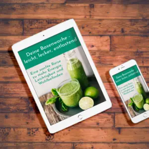 Basenfasten Workbook